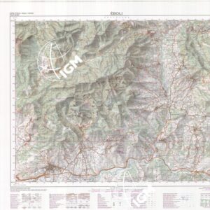 468 (EBOLI) Anno: 1991