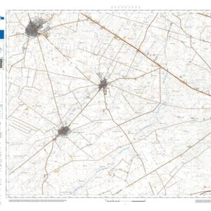 47 42 (Orta Nova) Anno: 2022