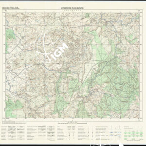 480 II (Foresta di Burgos) Anno: 1995