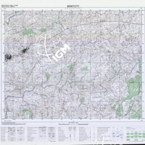 481 II (Benetutti) Anno: 1993