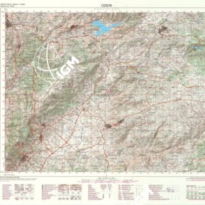 481 (OZIERI) Anno: 1999