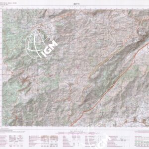 482 (BITTI) Anno: 1997