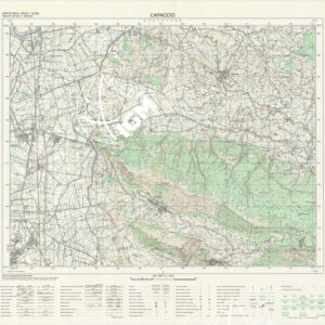 487 III (Capaccio) Anno: 1995