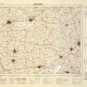 495 (MESAGNE) Anno: 1979