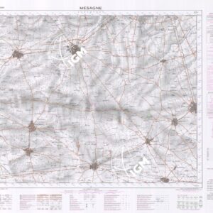 495 (MESAGNE) Anno: 1979