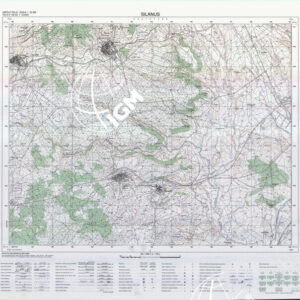 498 II (Silanus) Anno: 1995