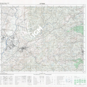 499 III (Ottana) Anno: 1994