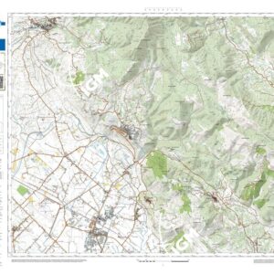 49 29 (Cori) Anno: 2022