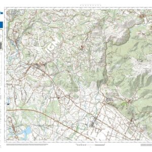 49 32 (Arce) Anno: 2022