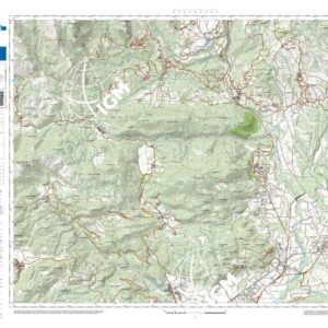 49 34 (Pozzilli) Anno: 2022