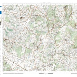 49 36 (Busso) Anno: 2022