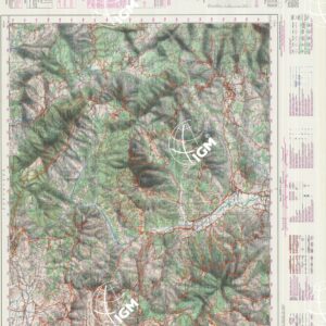 503 (VALLO DELLA  LUCANIA) Anno: 1991