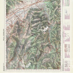 504 (SALA CONSILINA) Anno: 1992