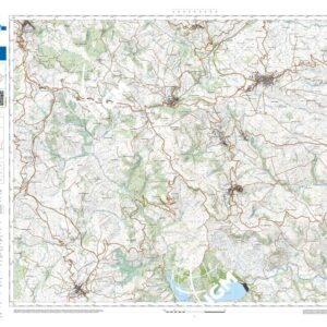 50 38 (Bonefro) Anno: 2022