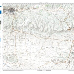 50 42 (San Giovanni Rotondo) Anno: 2022