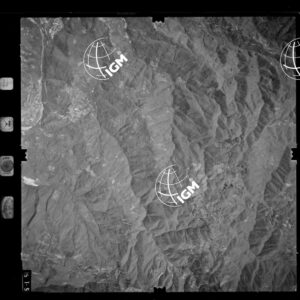 105-1982-2-515