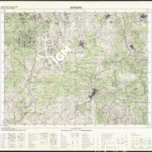 516 III (Sòrgono) Anno: 1993