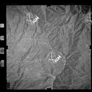 105-1982-2-517