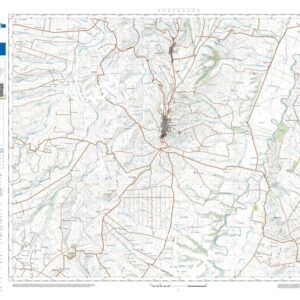 51 39 (Serracapriola) Anno: 2022