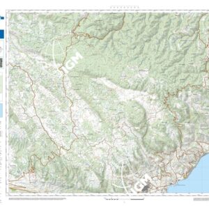 51 43 (Mattinata) Anno: 2022