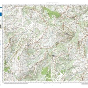 52 36 (Palmoli) Anno: 2022