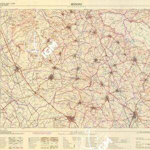 539 (MOGORO) Anno: 1995