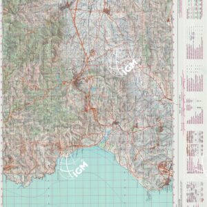 555 (IGLESIAS) Anno: 1995