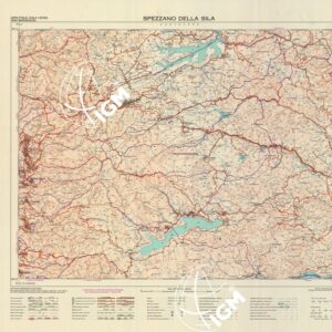 560 (SPEZZANO DELLA SILA) Anno: 1993