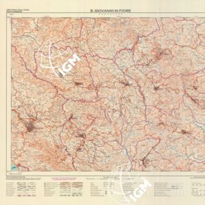 561 (SAN GIOVANNI IN FIORE) Anno: 1993