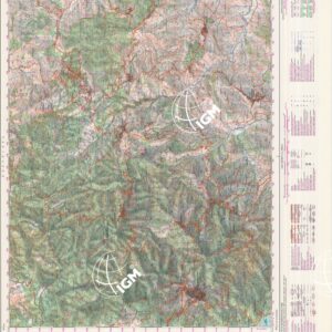 561 (SAN GIOVANNI IN FIORE) Anno: 1993