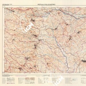 570 (PETILIA POLICASTRO) Anno: 1990