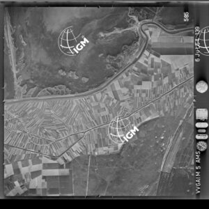89-1954-29-585