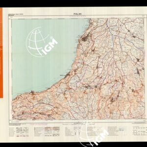 589 (PALMI) Anno: 1991