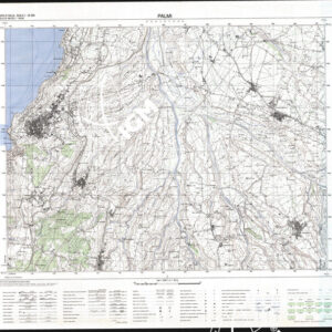 589 I (Palmi) Anno: 1993