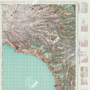 589 (PALMI) Anno: 1991