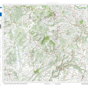 58 23 (Castell'Azzara) Anno: 2022