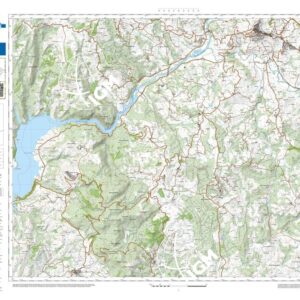 58 26 (Todi) Anno: 2022