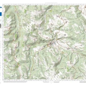 58 29 (Cascia) Anno: 2022