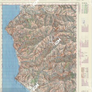 599 (PATTI) Anno: 1971