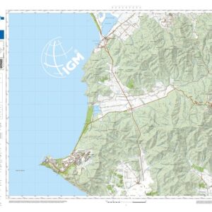 59 19 (Scarlino) Anno: 2022