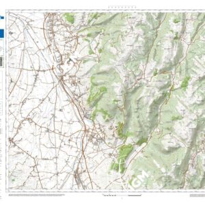 59 28 (Trevi) Anno: 2022