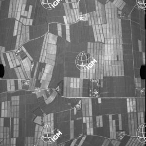 76-1937-50-5S