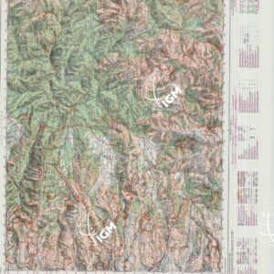 602 (MOTTA SAN GIOVANNI) Anno: 1991