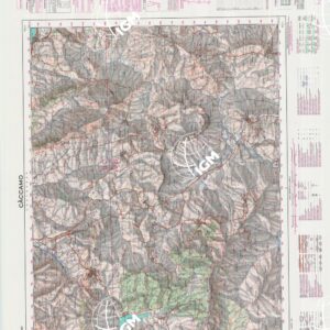 608 (CACCAMO) Anno: 1975