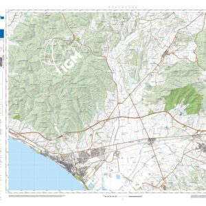 60 19 (Follonica) Anno: 2022