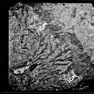 105-1989-28A-6167