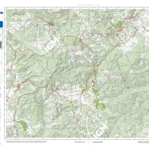 61 20 (Montieri) Anno: 2022