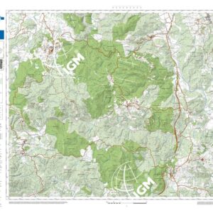 61 21 (Monticiano) Anno: 2022