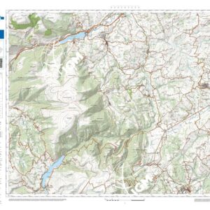 61 30 (Caldarola) Anno: 2022