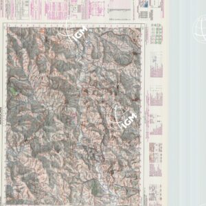 629 (ARAGONA) Anno: 1973